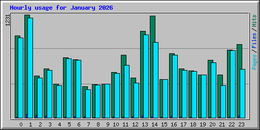Hourly usage for January 2026