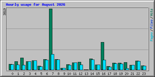 Hourly usage for August 2026