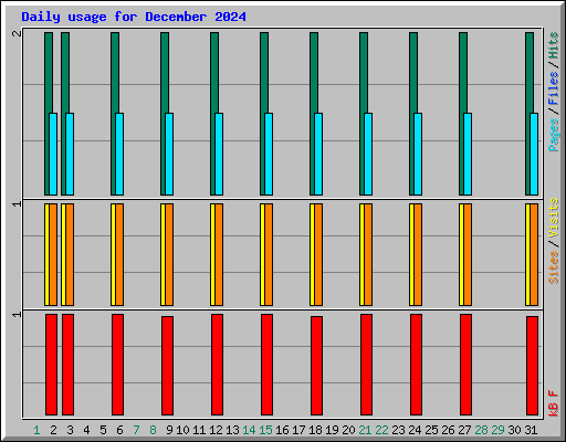 Daily usage for December 2024