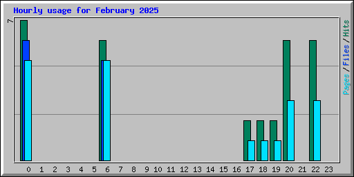 Hourly usage for February 2025