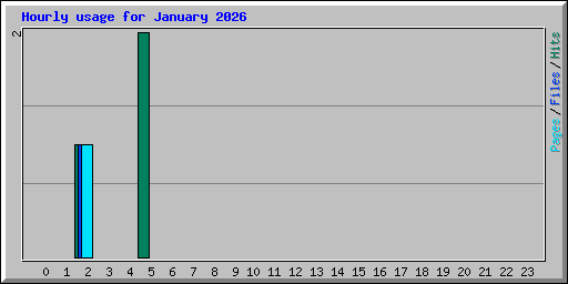 Hourly usage for January 2026