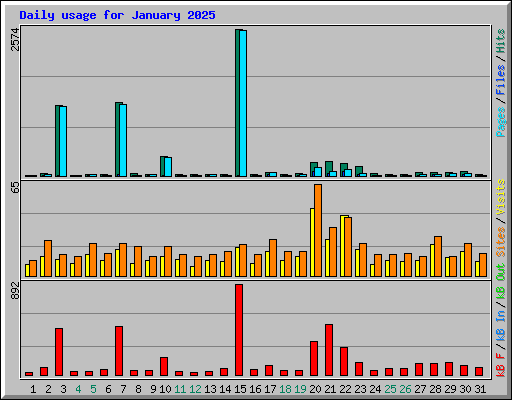 Daily usage for January 2025