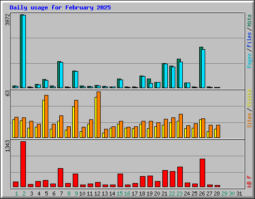 Daily usage for February 2025