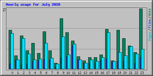 Hourly usage for July 2020
