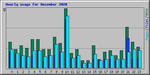 Hourly usage for December 2020