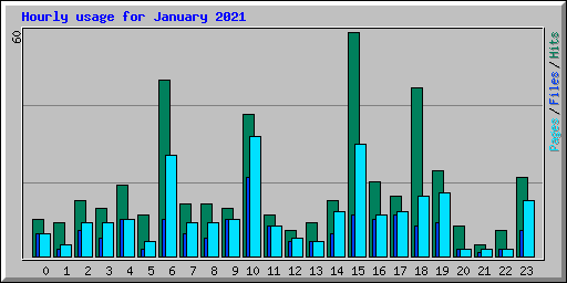 Hourly usage for January 2021
