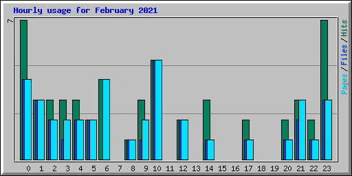 Hourly usage for February 2021