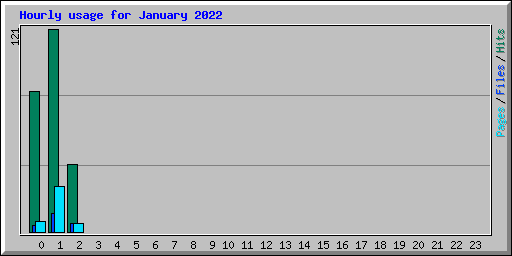 Hourly usage for January 2022