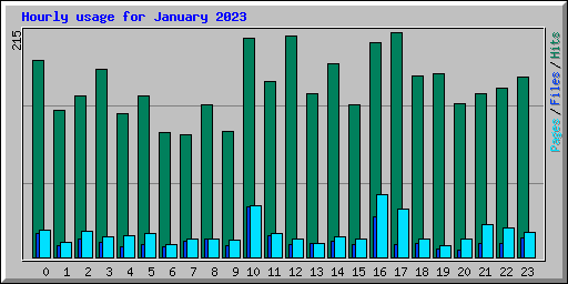 Hourly usage for January 2023
