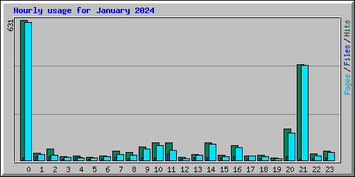 Hourly usage for January 2024