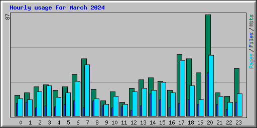 Hourly usage for March 2024