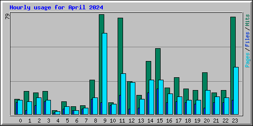 Hourly usage for April 2024