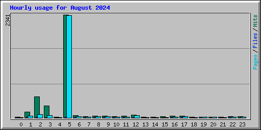Hourly usage for August 2024