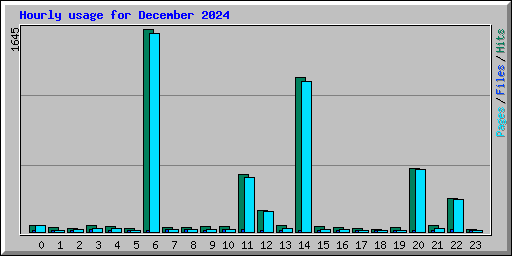 Hourly usage for December 2024