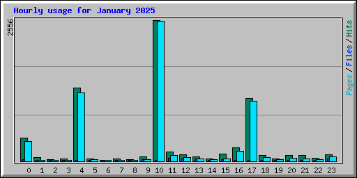 Hourly usage for January 2025