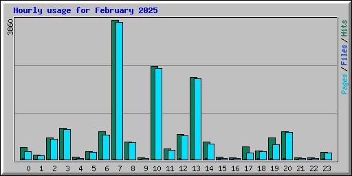 Hourly usage for February 2025