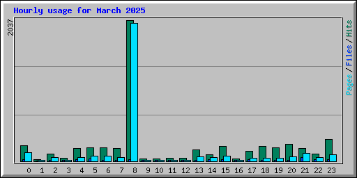 Hourly usage for March 2025