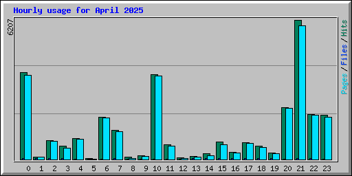 Hourly usage for April 2025