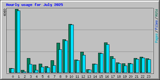 Hourly usage for July 2025