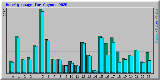 Hourly usage for August 2025