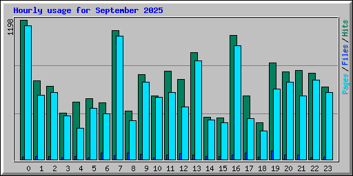 Hourly usage for September 2025