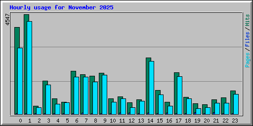 Hourly usage for November 2025