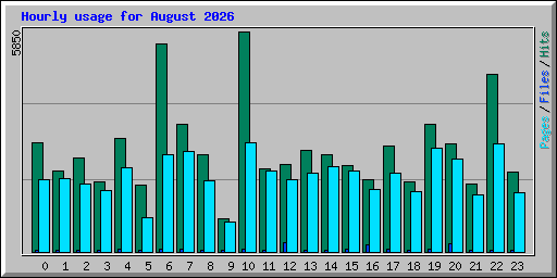 Hourly usage for August 2026